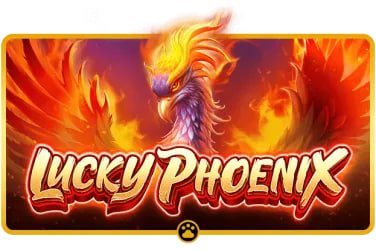bd 43 live casino overview for Bangladesh adults using modern devices